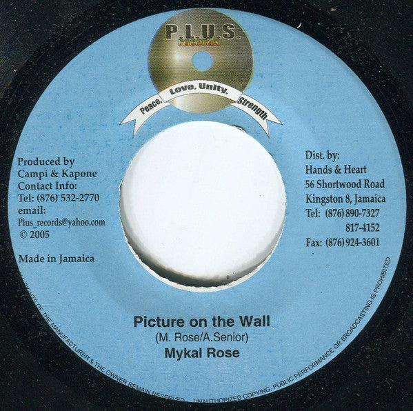 Michael Rose, Janine Linton : Picture On The Wall / Keeping It Real (7")