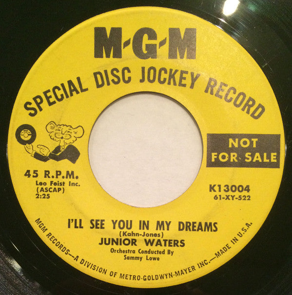 Junior Waters : Rockin' That History/I'll See You In My Dreams (7", Promo)