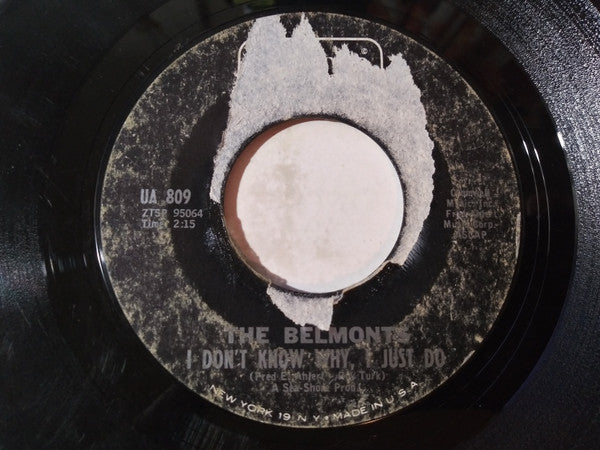 The Belmonts : Wintertime / I Don't Know Why, I Just Do (7")