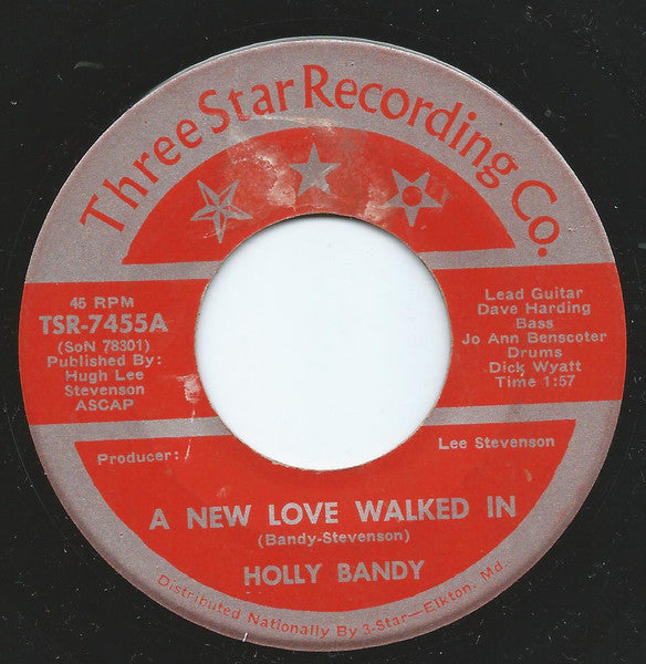 Holly Bandy : A New Love Walked In (7", Single)