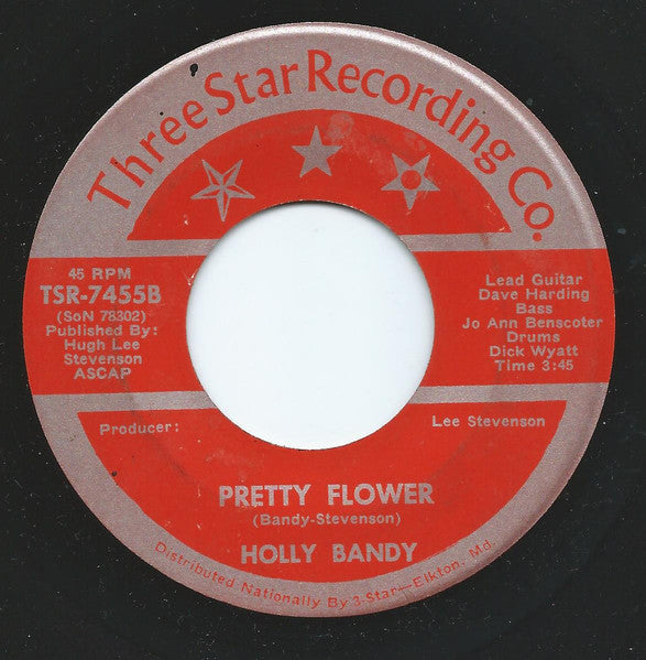 Holly Bandy : A New Love Walked In (7", Single)