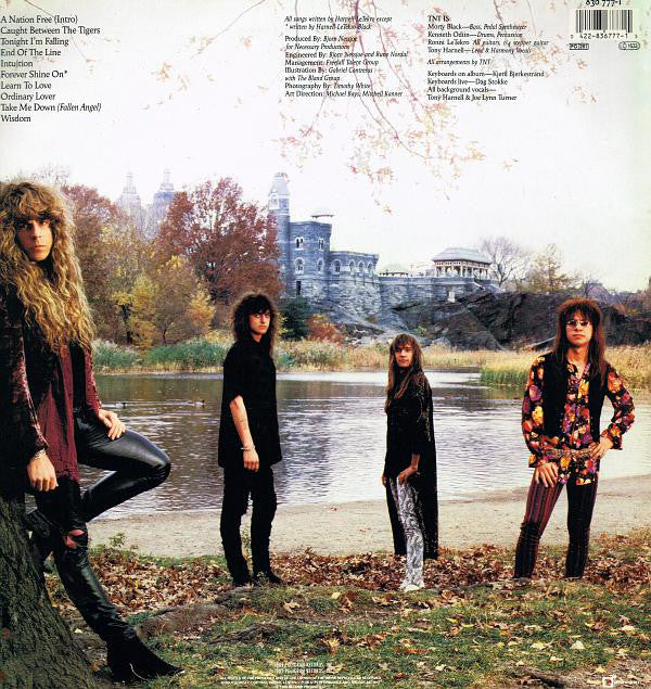 TNT (15) : Intuition (LP, Album)