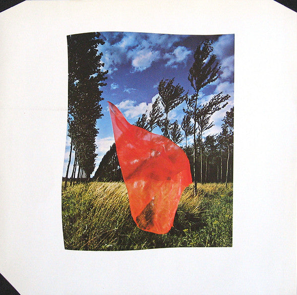 Pink Floyd : Wish You Were Here (LP, Album)