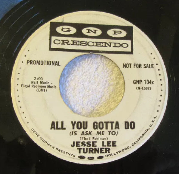 Jesse Lee Turner : All You Gotta Do/The Voice Changing Song (7", Single, Promo)