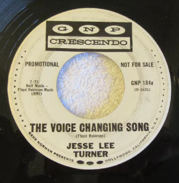 Jesse Lee Turner : All You Gotta Do/The Voice Changing Song (7", Single, Promo)