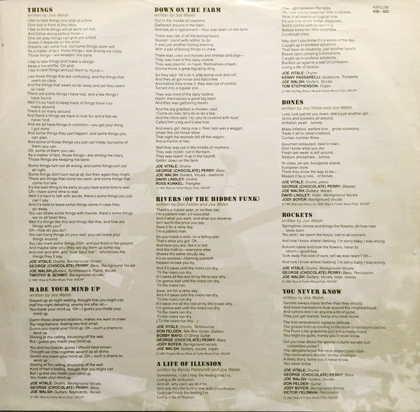 Joe Walsh : There Goes The Neighborhood (LP, Album)