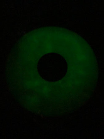 Airghoul : Orange Forest (12", Single, Ltd, Ora)