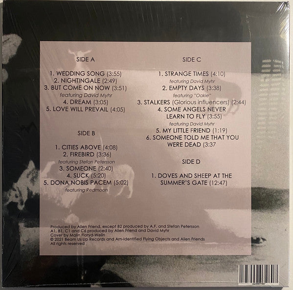 Arn-Identified Flying Objects and Alien Friends : 17 Birds at the Summer’s Gate (2xLP, Gat)