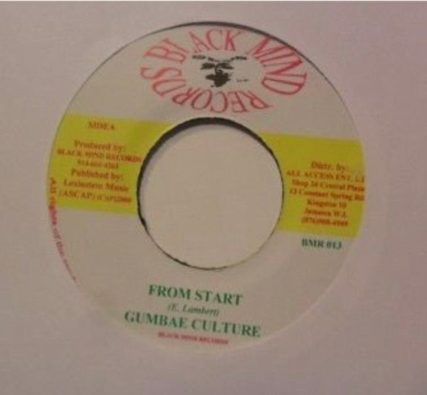 Gumbae Culture : From Start / Take Stock (7", Single)