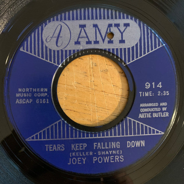 Joey Powers : Where Did The Summer Go / Tears Keep Falling Down (7")