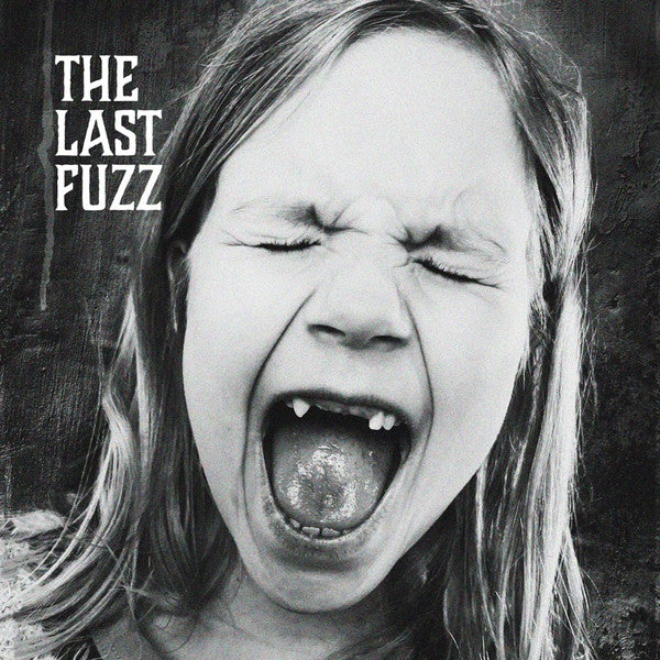 The Last Fuzz : Take The Fall (LP, Album)