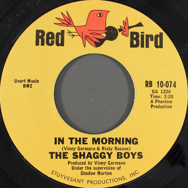 The Shaggy Boys : Stop The Clock (7", Single, Styrene)