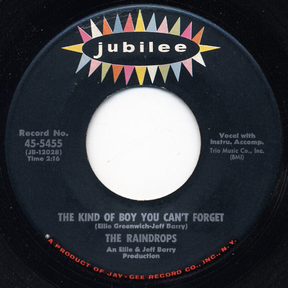 The Raindrops : The Kind Of Boy You Can't Forget / Even Though You Can't Dance (7", Single)