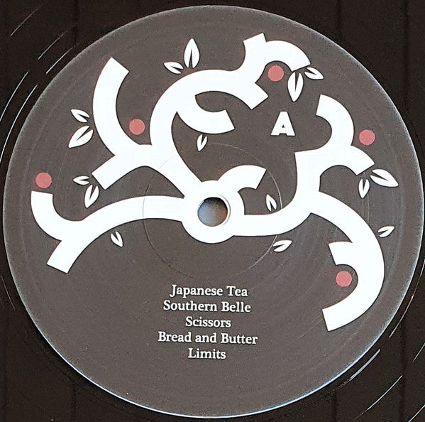 Su Andersson : Brave (LP, Album)