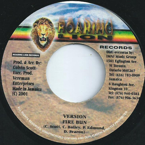 Cocoa Tea & Capleton : Adjust The Fire (7")