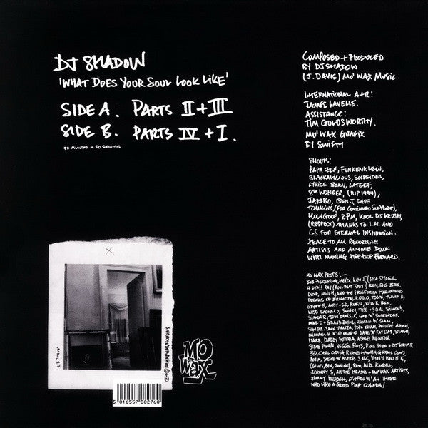 DJ Shadow : What Does Your Soul Look Like (12")