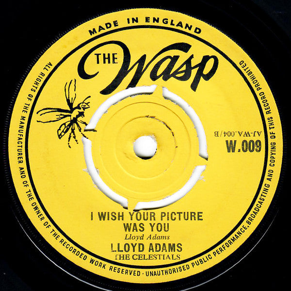 Lloyd Adams, The Celestials : I Wish Your Picture Was You / Pleading For Love (7", Single, M/Print)