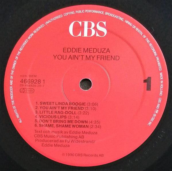 Eddie Meduza : You Ain't My Friend (LP, Album)
