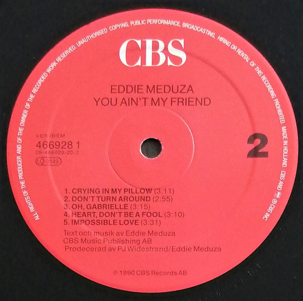 Eddie Meduza : You Ain't My Friend (LP, Album)