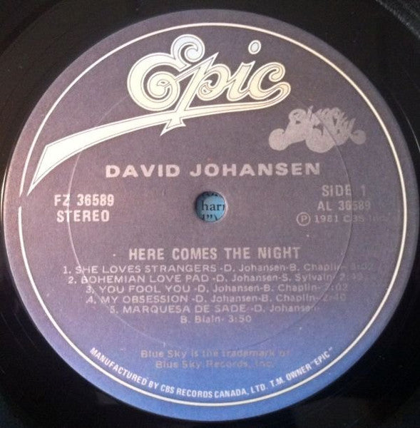 David Johansen : Here Comes The Night (LP, Album)