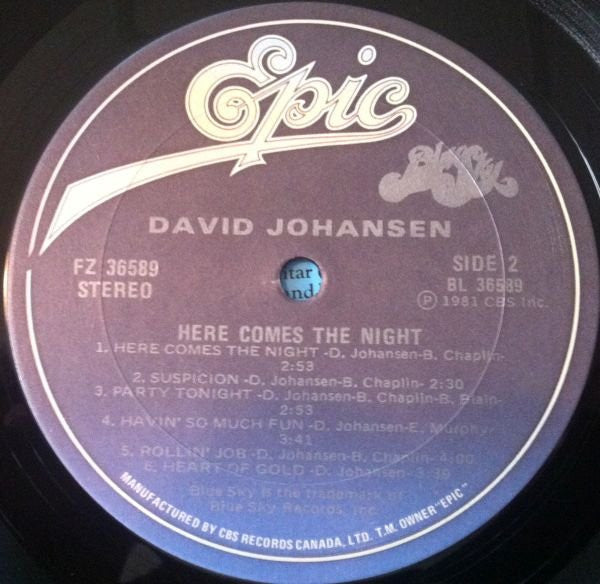 David Johansen : Here Comes The Night (LP, Album)