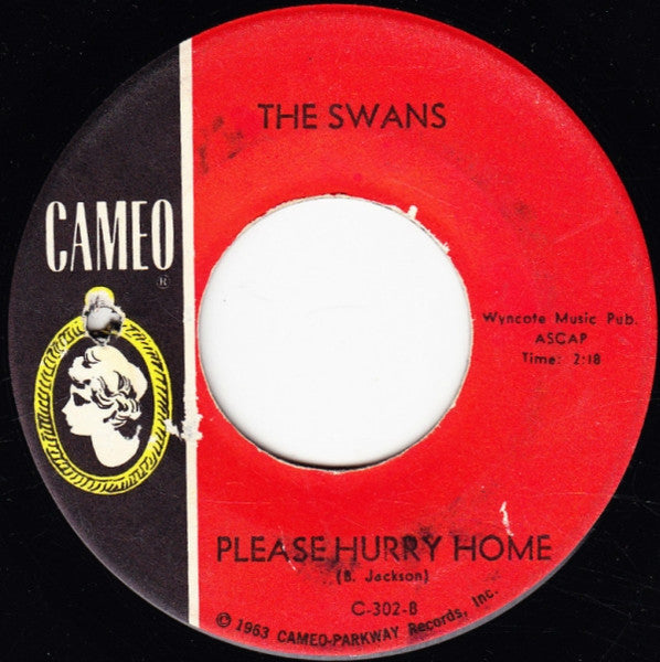 The Swans (2) : The Boy With The Beatle Hair (7", Single)