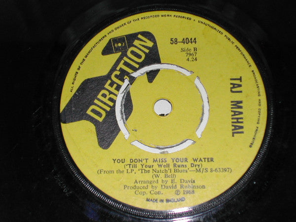 Taj Mahal : Eee Zee Rider / You Don't Miss Your Water (7")