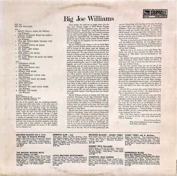 Big Joe Williams : Big Joe Williams (LP, Album)