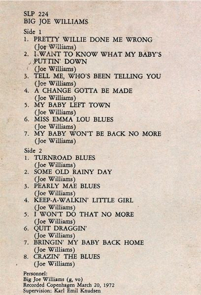 Big Joe Williams : Big Joe Williams (LP, Album)