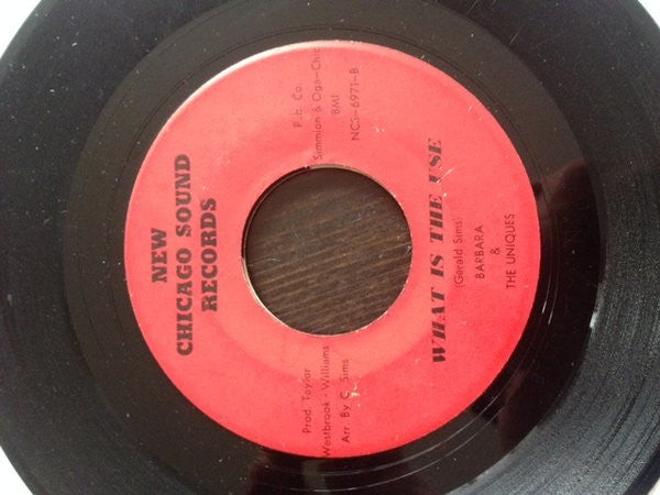 Barbara And The Uniques : There It Goes Again / What Is The Use (7")