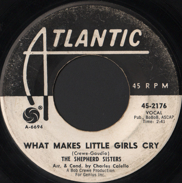 The Shepherd Sisters : Don't Mention My Name (7", Promo)