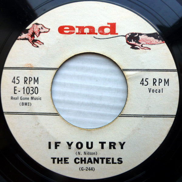 The Chantels : If You Try / Congratulations (7", Single, Styrene)