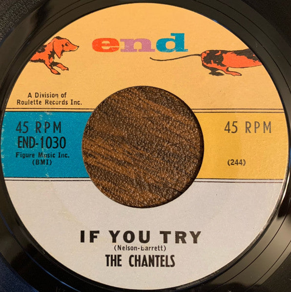 The Chantels : If You Try / Congratulations (7", Single, Styrene)