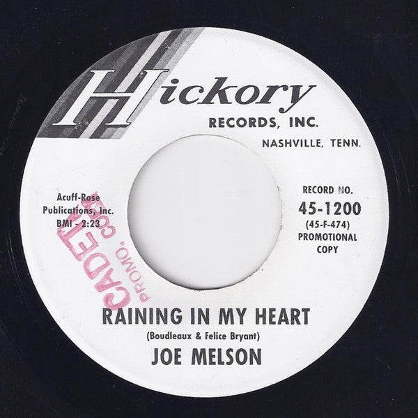 Joe Melson : Raining In My Heart (7", Promo)