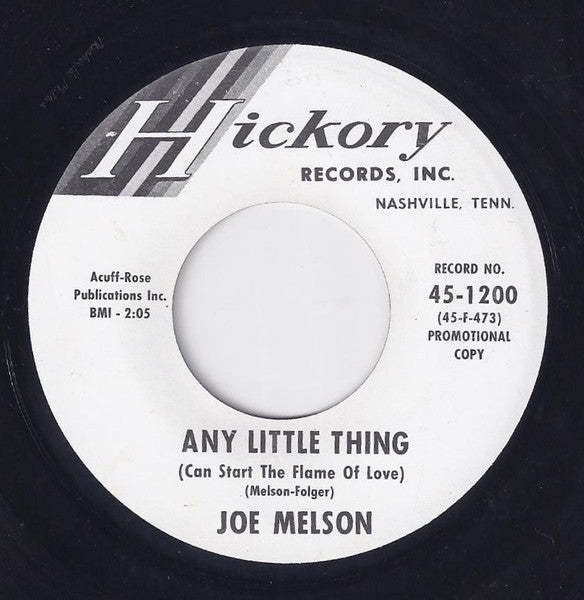 Joe Melson : Raining In My Heart (7", Promo)