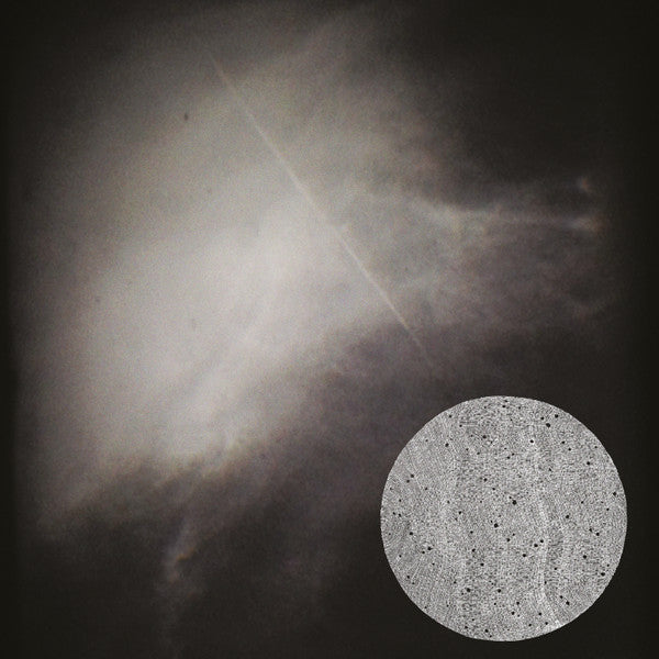 Only Edges : Permanent Heart (10", EP)