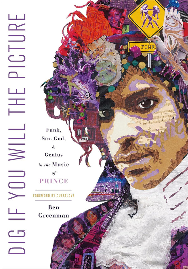 Dig If You Will the Picture: Funk, Sex, God and Genius in the Music of Prince (Hardcover)